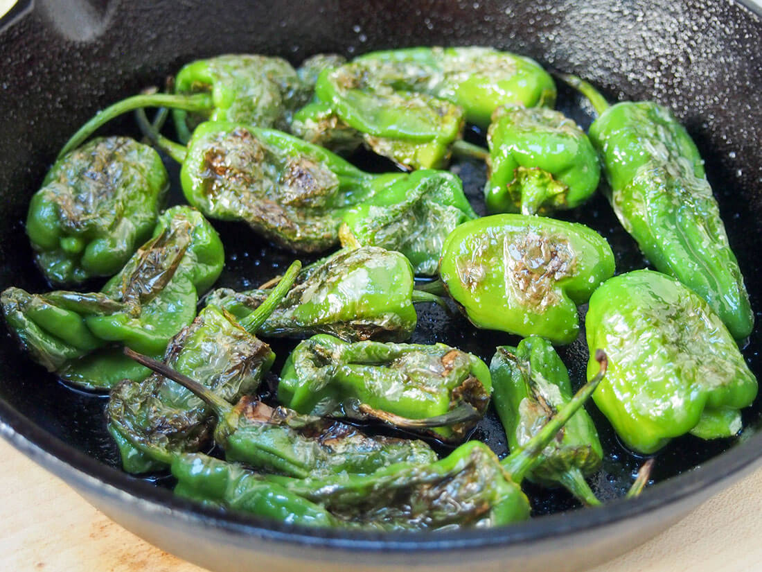 blistered padron peppers close up in skillet