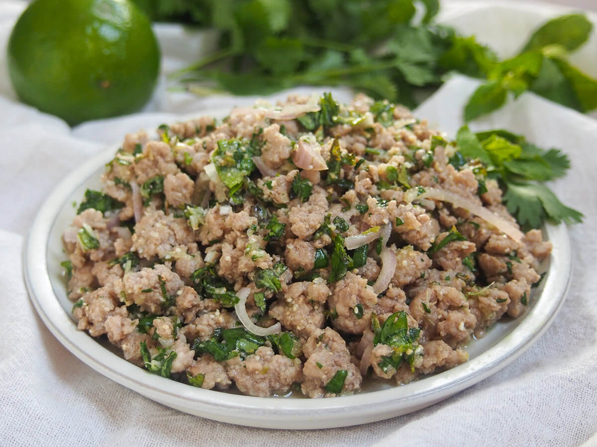 white plate with pork larb from side